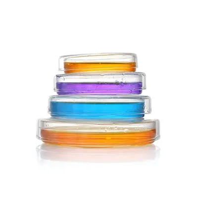 Placa de Petri de vidro de laboratório 60mm 90mm 100mm Placa de cultura celular com tampas